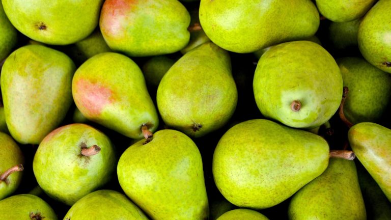 poire recette poire saison
