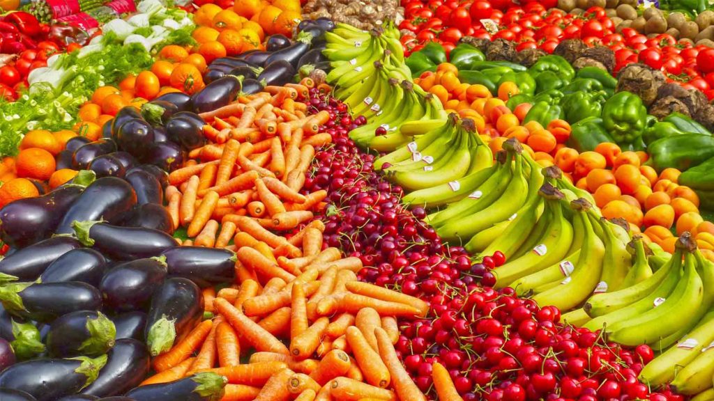 conserve surgeles frais ou bocaux