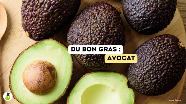 recettes100faim-bon-gras-avocat bon gras avocat