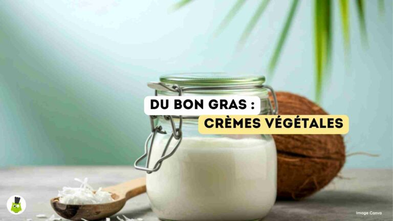 recettes100faim-bon-gras-cremes-vegetales bon gras crème végétale