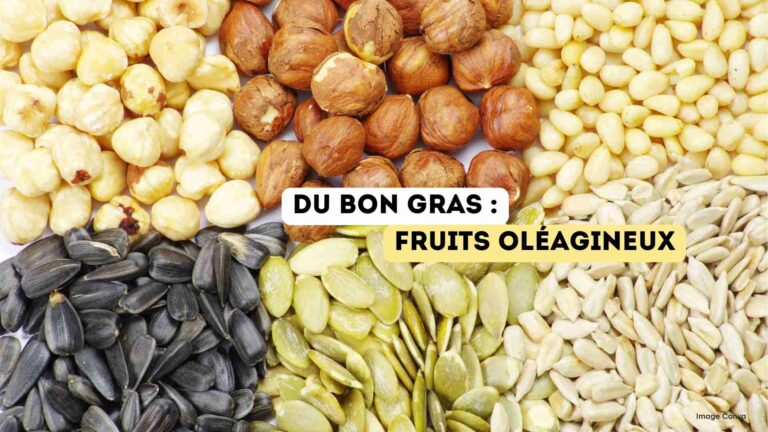 recettes100faim-bon-gras-fruits-oleagineux bon gras graines