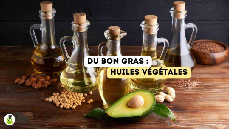 recettes100faim-bon-gras-huiles-vegetales bon gras huiles vegetale