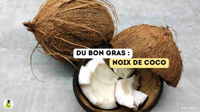 recettes100faim-bon-gras-noix-coco bon gras noix de coco