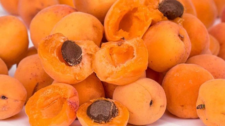 fruits legumes saison abricot