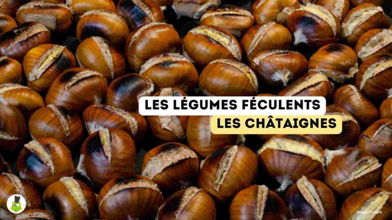 recettes100faim-legumes-feculents-chataignes legumes feculents bienfaits recettes chataignes