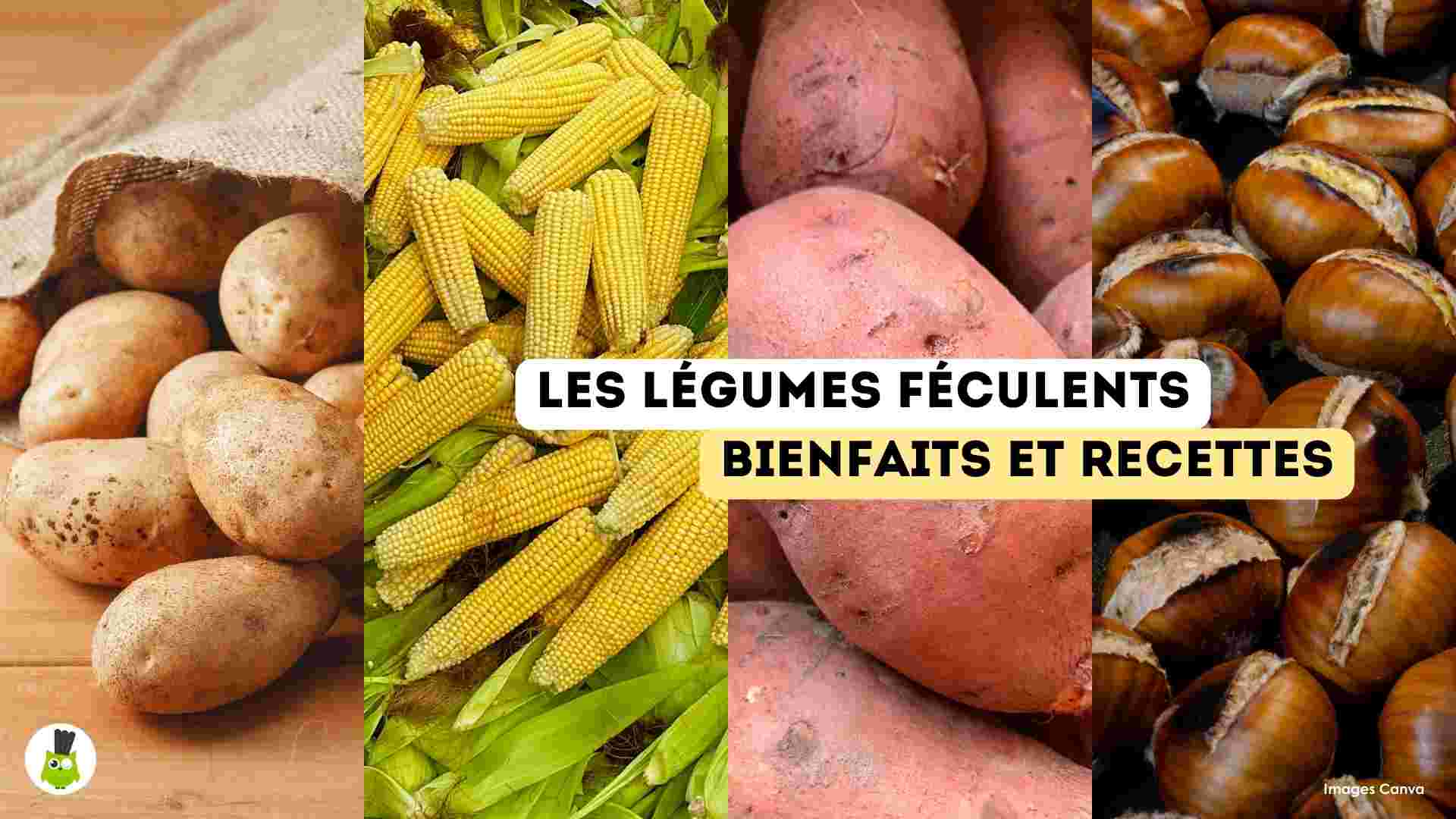 legumes feculents bienfaits recettes