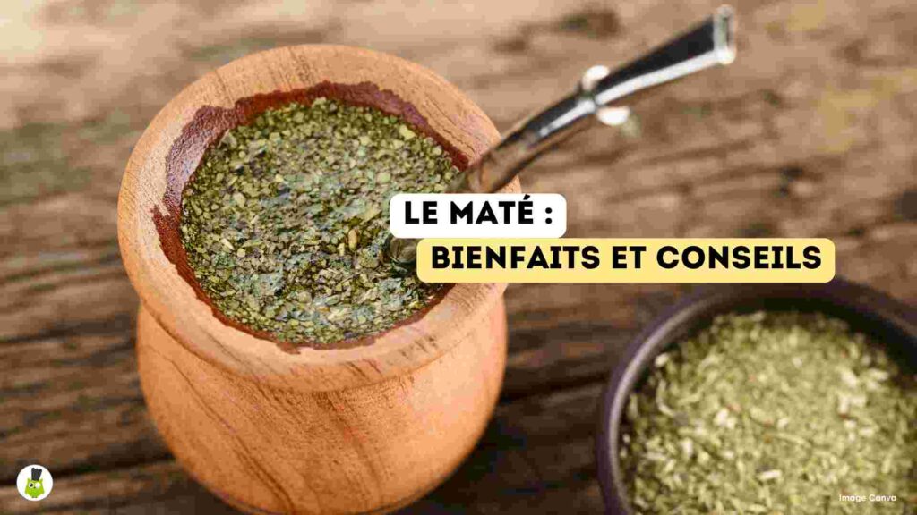 maté conseils astuces