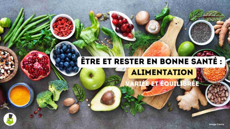 recettes100faim-article-facteurs-sante-alimentation alimentation variee equilibree