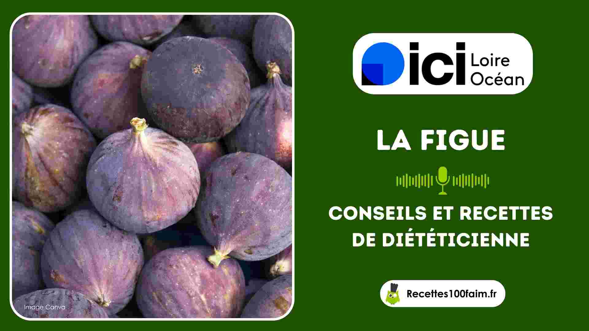 conseils recettes figue
