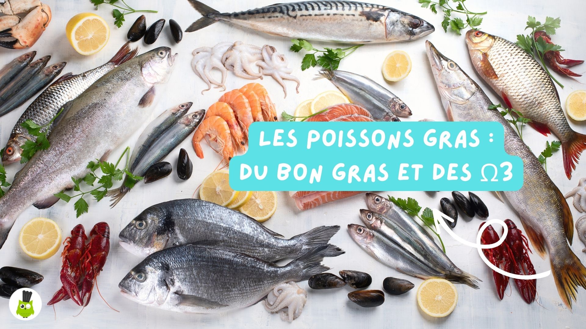 poissons gras santé nutrition