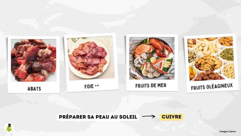 recettes100faim-soleil-recettes-cuivre preparer peau soleil conseils cuivre