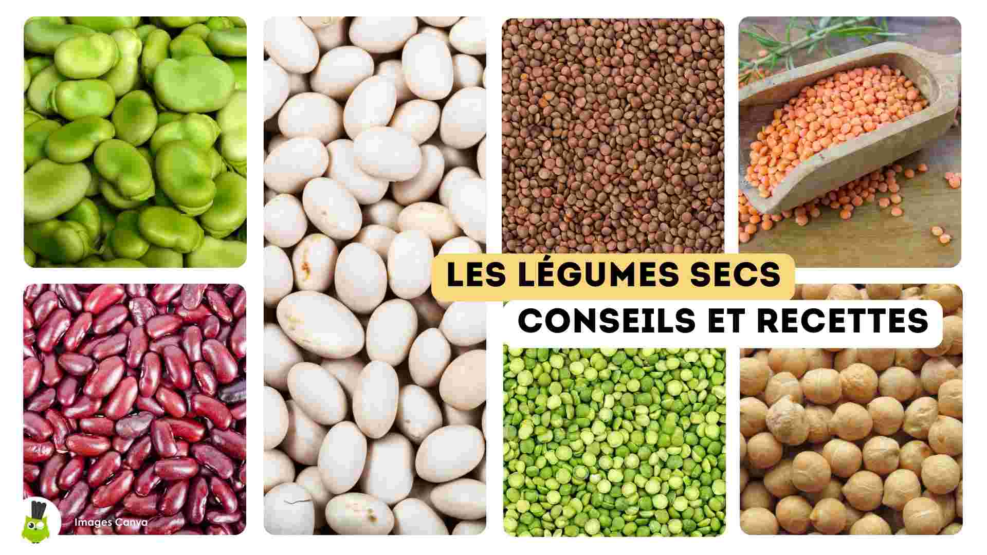 cuisiner legumes secs recettes conseils