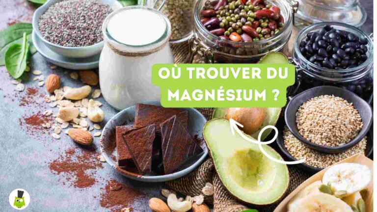 recettes100faim-sources-magnesium-recettes ou trouver du magnesium