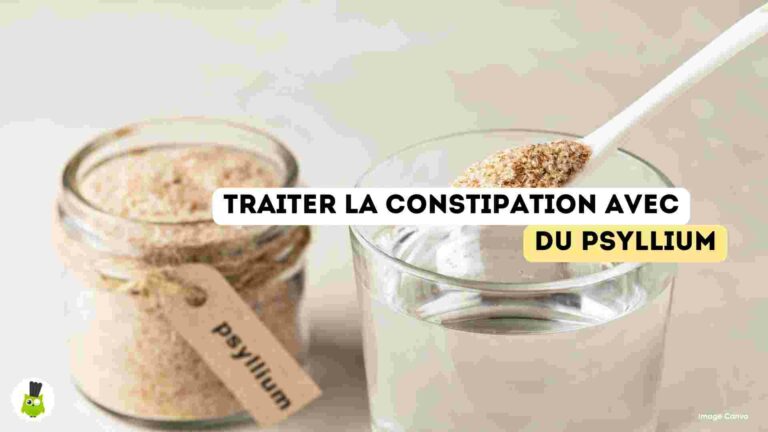 recettes100faim-constipation-sante-psyllium constipation conseils recettes psyllium