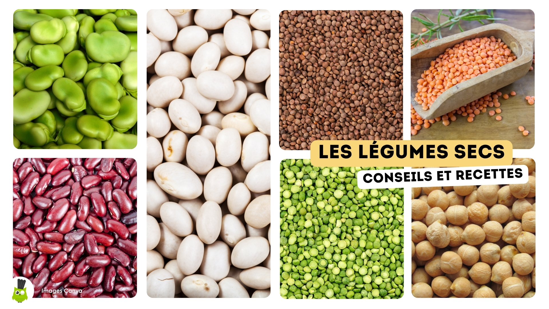 legumes secs conseils recettes